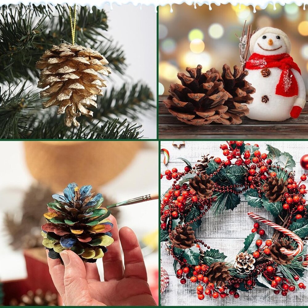20 Pack 2.4 Inch Pinecones Bulk Package of Natural Pinecones Pine Cones for Craf - Picture 5 of 6